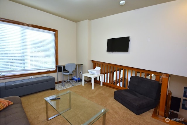 living room with carpet flooring