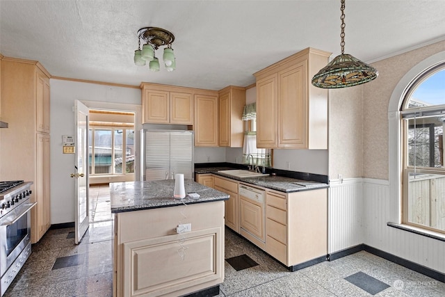 kitchen featuring sink, stainless steel appliances, and a healthy amount of sunlight