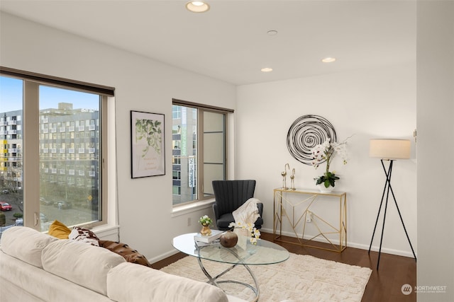 living room featuring dark hardwood / wood-style floors