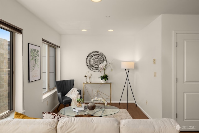 sitting room with hardwood / wood-style floors