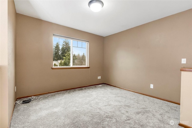 empty room featuring carpet floors