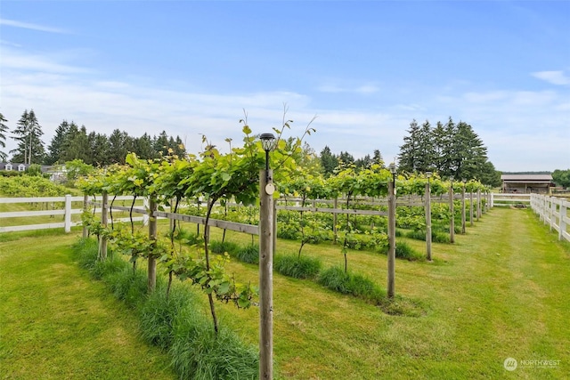 surrounding community featuring a rural view and a yard