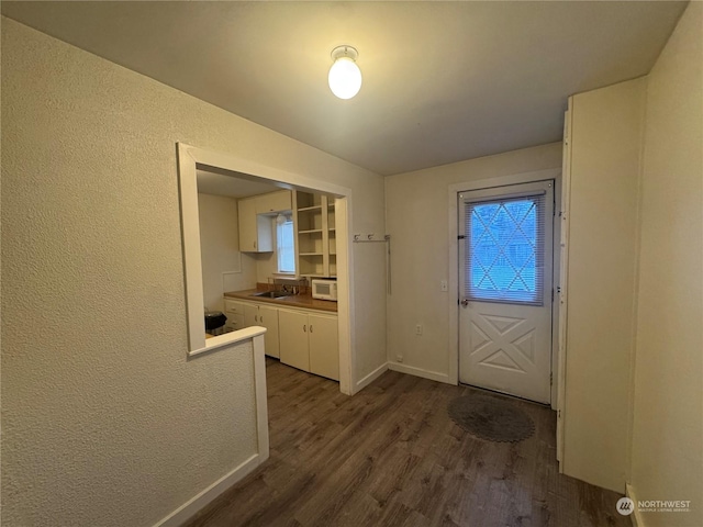 doorway to outside with sink and dark hardwood / wood-style floors