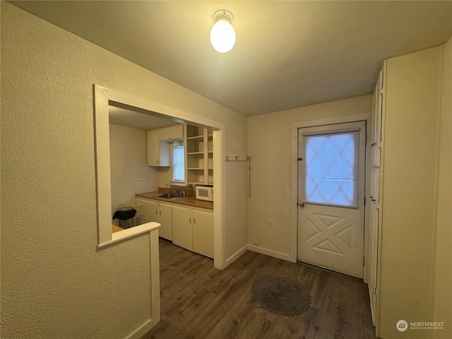 doorway with sink and dark wood-type flooring