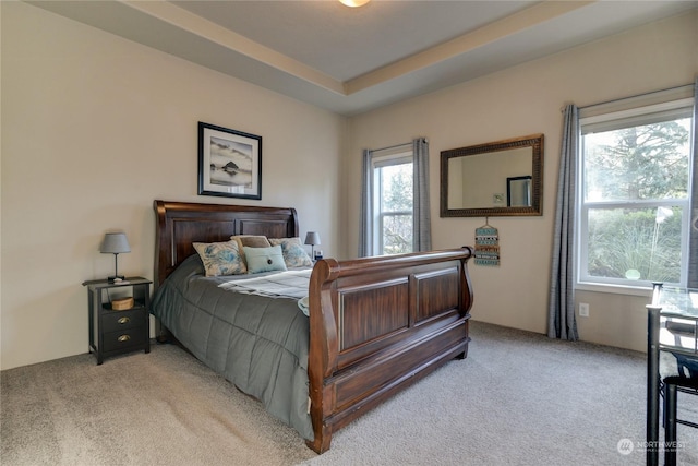 carpeted bedroom with multiple windows