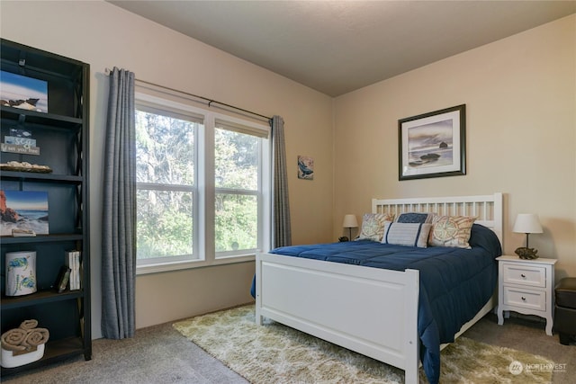 bedroom featuring carpet