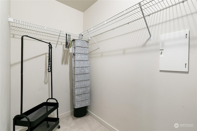 walk in closet featuring carpet flooring