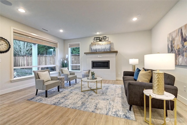 living room featuring light hardwood / wood-style floors