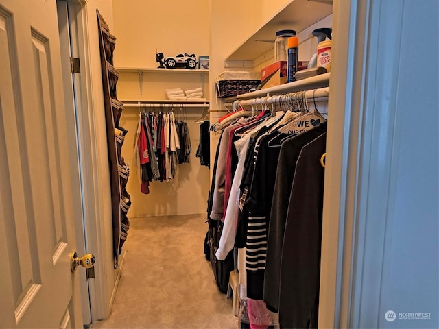 walk in closet with light colored carpet