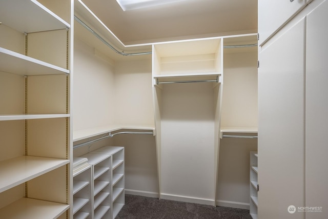 walk in closet featuring dark colored carpet