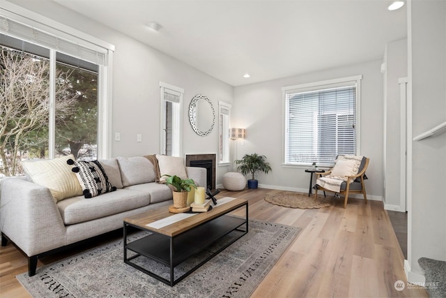 living room featuring light hardwood / wood-style flooring