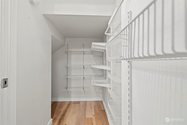 walk in closet with wood-type flooring