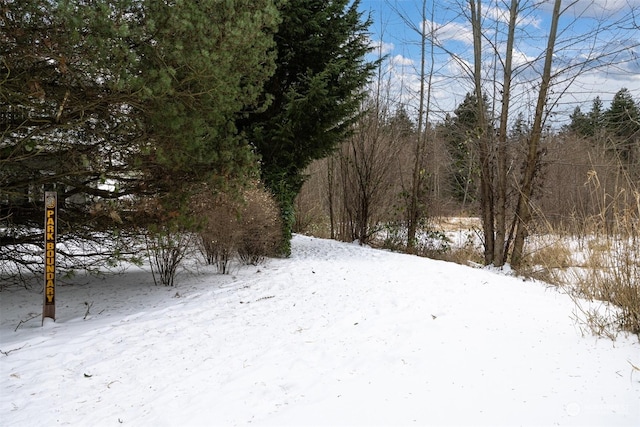 view of snowy landscape