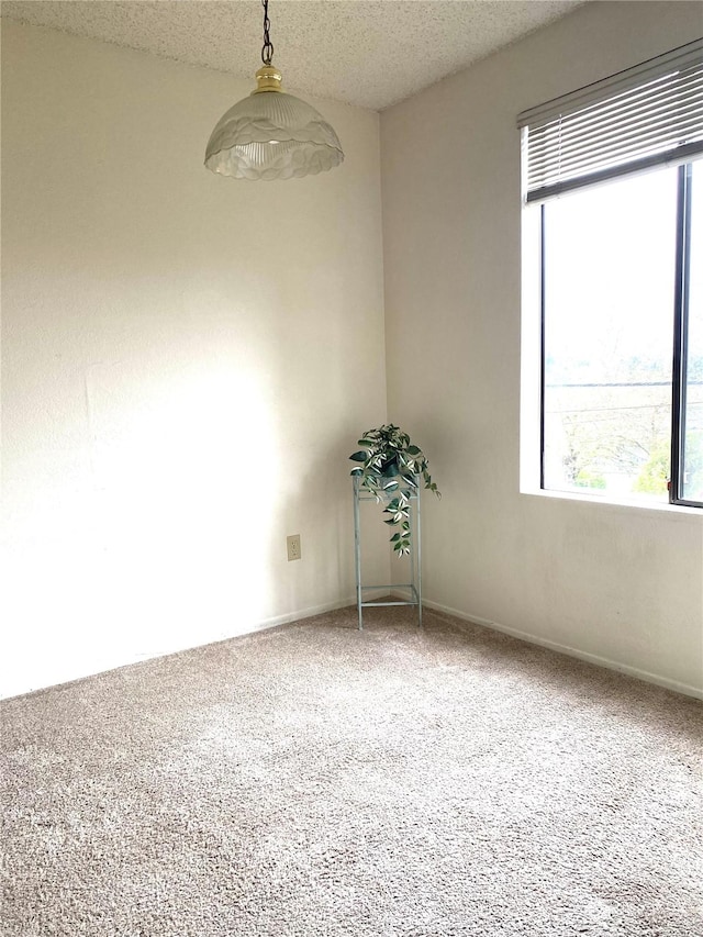 3505 S 160th St Unit B3, Seatac, WA 98188 - photo 15