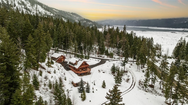 snowy aerial view with a mountain view