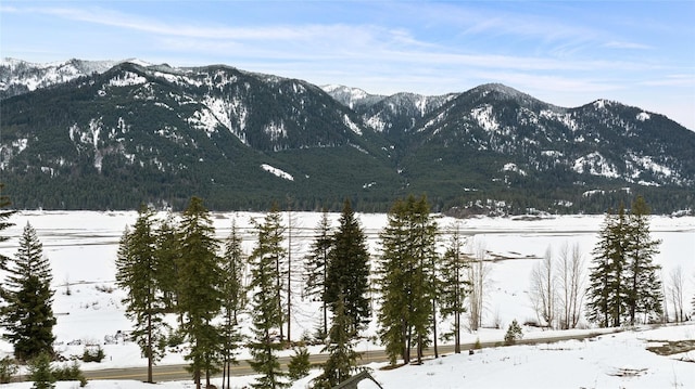 view of mountain feature