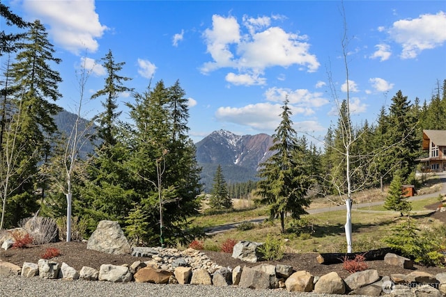 71 Morgan Creek Rd, Ronald, WA 98940 - mountain view