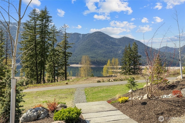 71 Morgan Creek Rd, Ronald, WA 98940 - mountain view with a water view