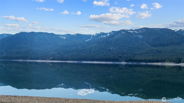 71 Morgan Creek Rd, Ronald, WA 98940 - property view of mountains featuring a water view