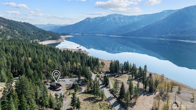 71 Morgan Creek Rd, Ronald, WA 98940 - view of mountain feature with a water view and a forest view