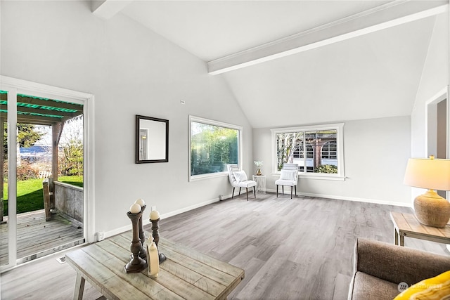 living room featuring beam ceiling, a healthy amount of sunlight, and light hardwood / wood-style flooring