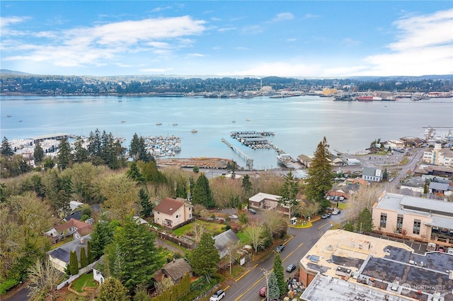 drone / aerial view with a water view