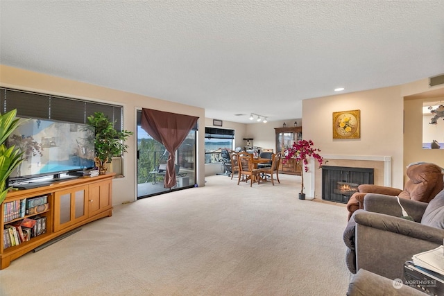 carpeted living room featuring a textured ceiling