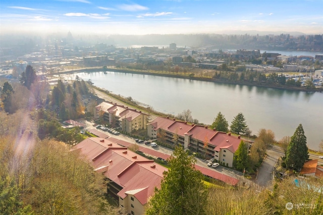 aerial view with a water view