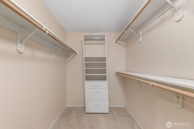908 E Bay Dr NE Unit 203, Olympia, WA 98506 - spacious closet with light colored carpet