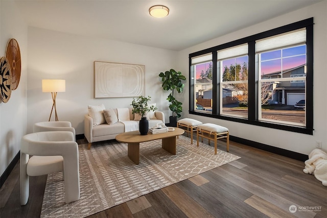 living room featuring dark hardwood / wood-style flooring