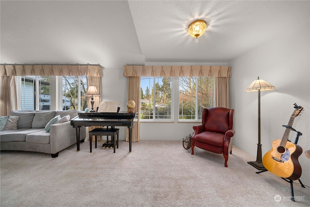 carpeted living room with vaulted ceiling