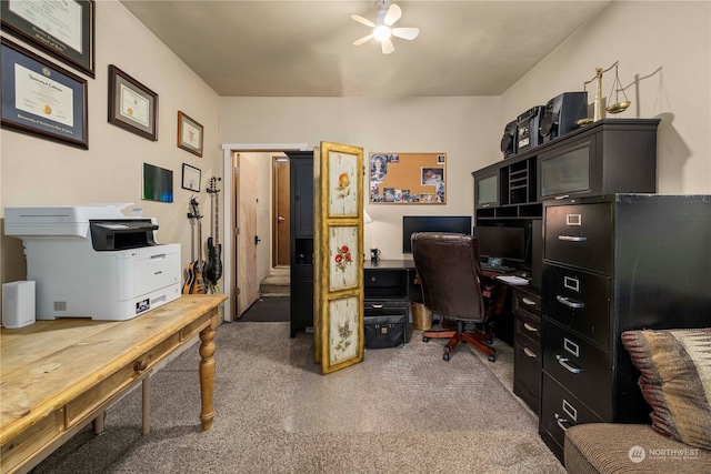 office space with carpet floors