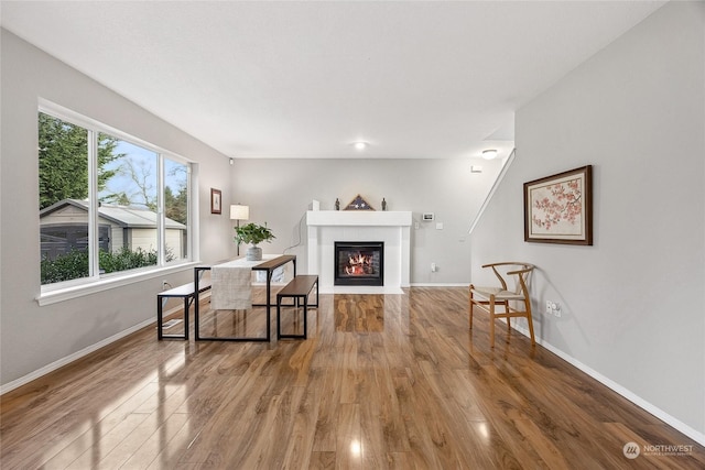 living room featuring hardwood / wood-style floors and a fireplace