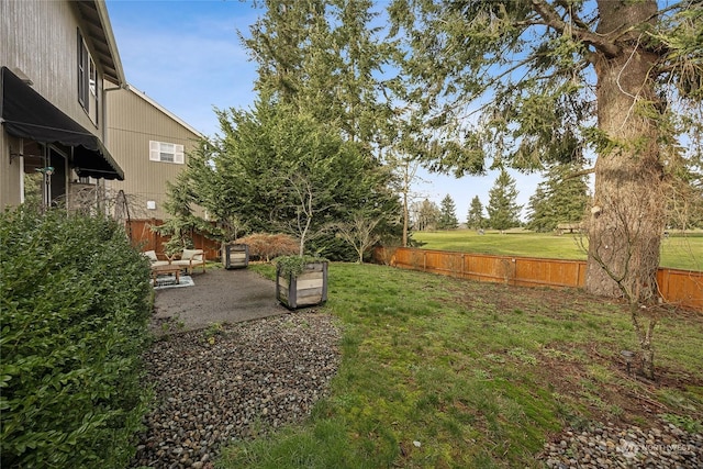 view of yard featuring a patio