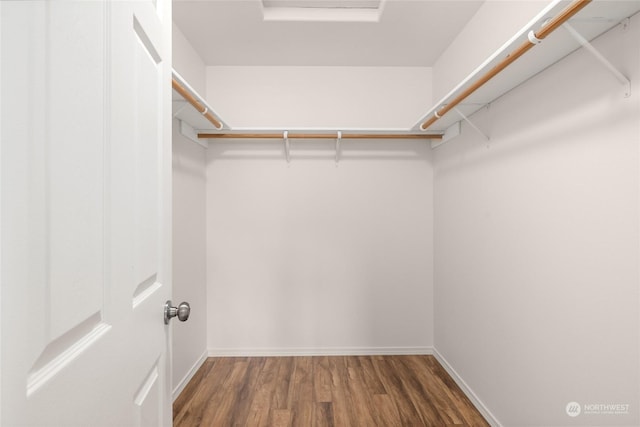 spacious closet featuring dark hardwood / wood-style floors