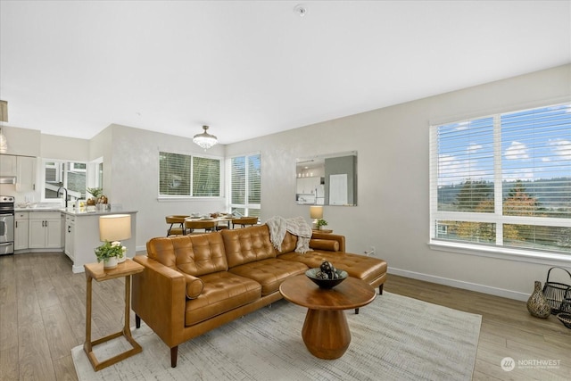 living room with light hardwood / wood-style flooring and sink