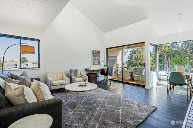 living room featuring a textured ceiling, dark hardwood / wood-style flooring, and lofted ceiling