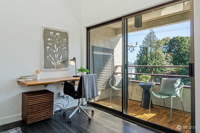 office featuring wood-type flooring