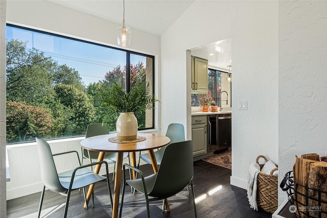 dining space featuring a healthy amount of sunlight, dark hardwood / wood-style floors, and lofted ceiling