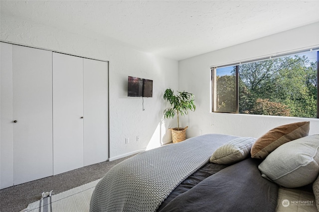 bedroom featuring carpet flooring and a closet