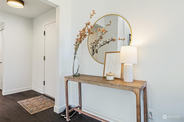 foyer with dark hardwood / wood-style flooring