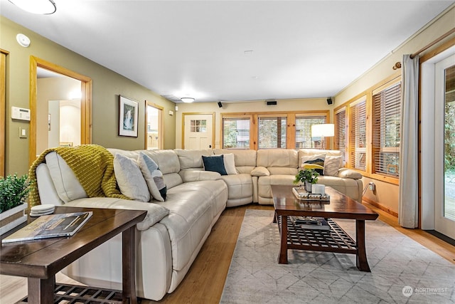 living room featuring light wood-type flooring