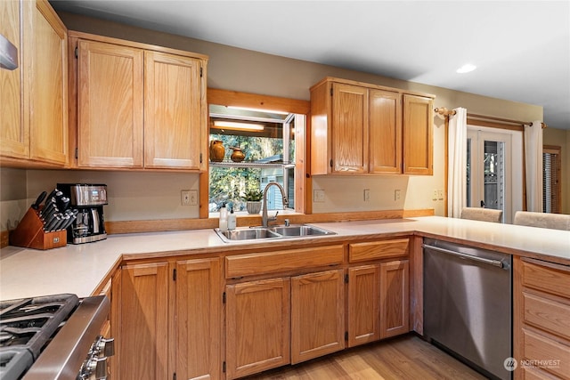 kitchen featuring sink, light hardwood / wood-style floors, and appliances with stainless steel finishes