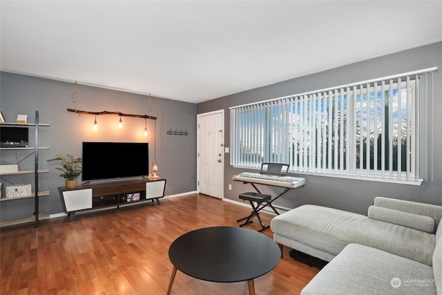 living room with wood-type flooring and a wealth of natural light