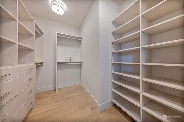 walk in closet featuring light wood-type flooring