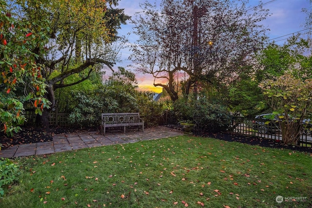 yard at dusk with a patio area