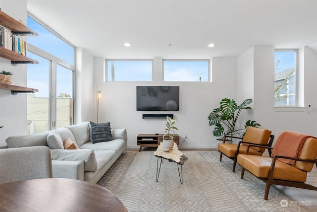 living room with light hardwood / wood-style flooring and a healthy amount of sunlight