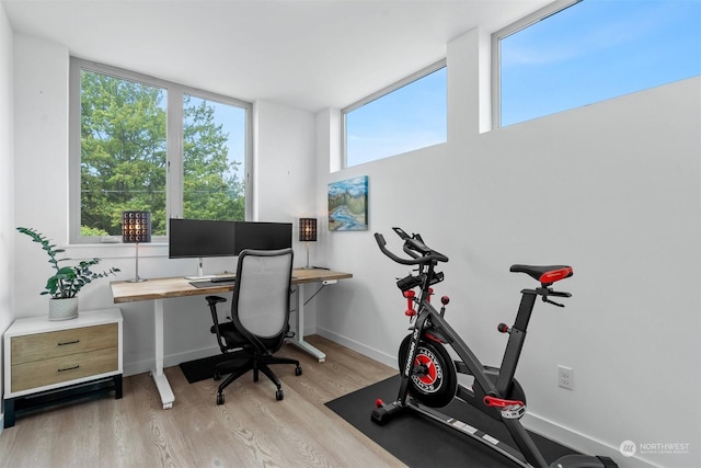 office with light hardwood / wood-style floors