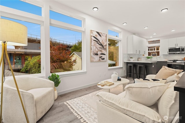 living room with light hardwood / wood-style floors