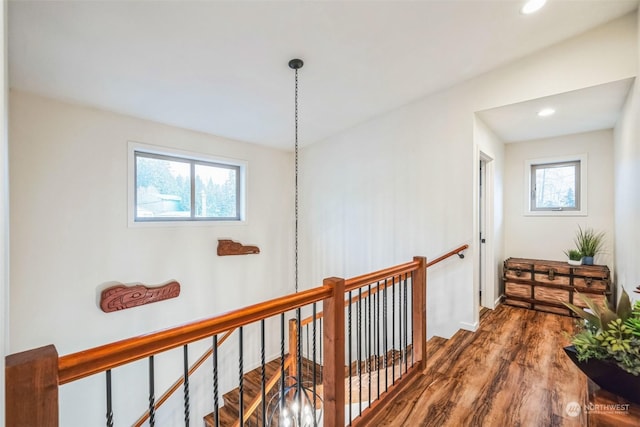 corridor featuring dark hardwood / wood-style floors